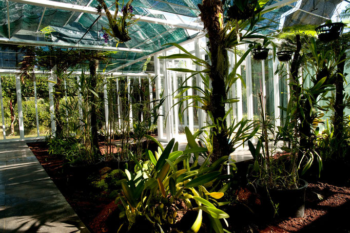 Faial - European Destinations of Excellence - European Best Destinations Copyright Visit Azores