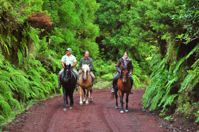 Faial - European Destinations of Excellence - European Best Destinations Copyright Visit Azores
