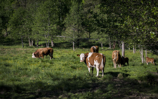 Fiskars - European Best Destinations - European Destinations of Excellence - Sustainable tourism in Europe - Copyright www.fiskarsvillage.fi