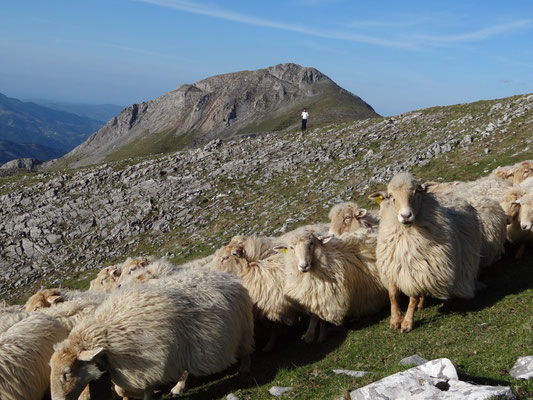 Goierri  -European Destinations of Excellence  - European Best Destinations - Copyright Goierri Turismo