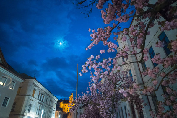 Irija - European Best Destinations - European Destinations of Excellence - Sustainable tourism in Europe