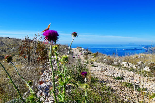 Cavtat - European Best Destinations - Copyright Visit Cavtat Konavle Tourist Board