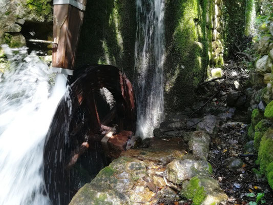 Cavtat - European Best Destinations - Copyright Visit Cavtat Konavle Tourist Board