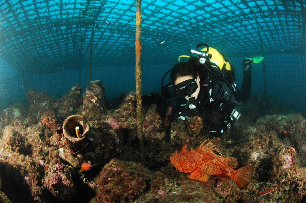 Cavtat - European Best Destinations - Copyright Visit Cavtat Konavle Tourist Board