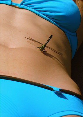 Kuldiga Copyright Artis Gustovskis 