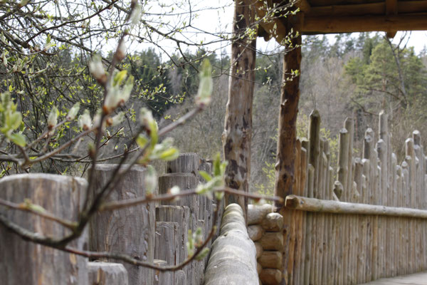 Latvijas valsts mezi - European Best Destinations - European Destinations of Excellence