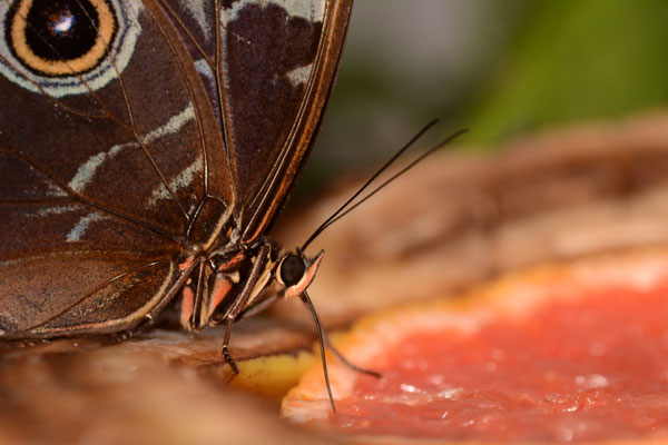 Latvijas valsts mezi - European Best Destinations - European Destinations of Excellence