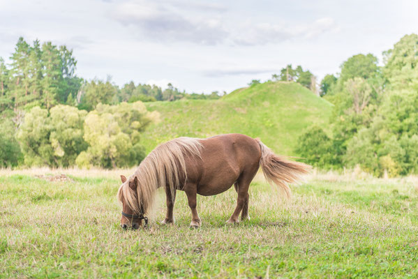 Latvijas valsts mezi - European Best Destinations - European Destinations of Excellence