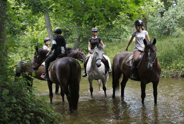 Latvijas valsts mezi - European Best Destinations - European Destinations of Excellence