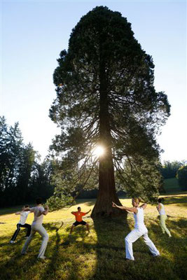 Lasko - European Destinations of Excellence - European Best Destinations