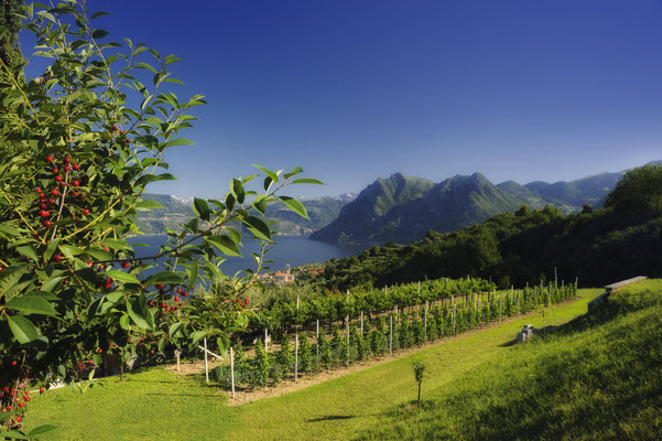 Monte Isola - European Destinations of Excellence - European Best Destinations