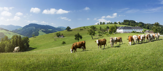 Mostviertel - European Destinations of Excellence - European Best Destinations - Copyright Michael LIebert