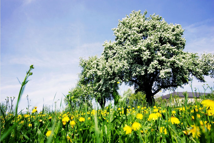 Mostviertel - European Destinations of Excellence - European Best Destinations - Copyright weinfranz