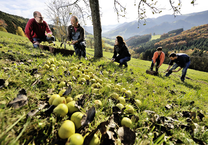 Mostviertel - European Destinations of Excellence - European Best Destinations - Copyright Manfred Horvath