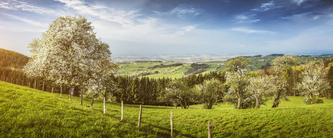 Mostviertel - European Destinations of Excellence - European Best Destinations - Copyright weinfranz