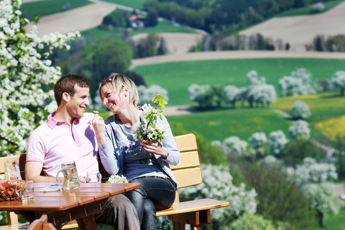 Mostviertel - European Destinations of Excellence - European Best Destinations - Copyright weinfranz