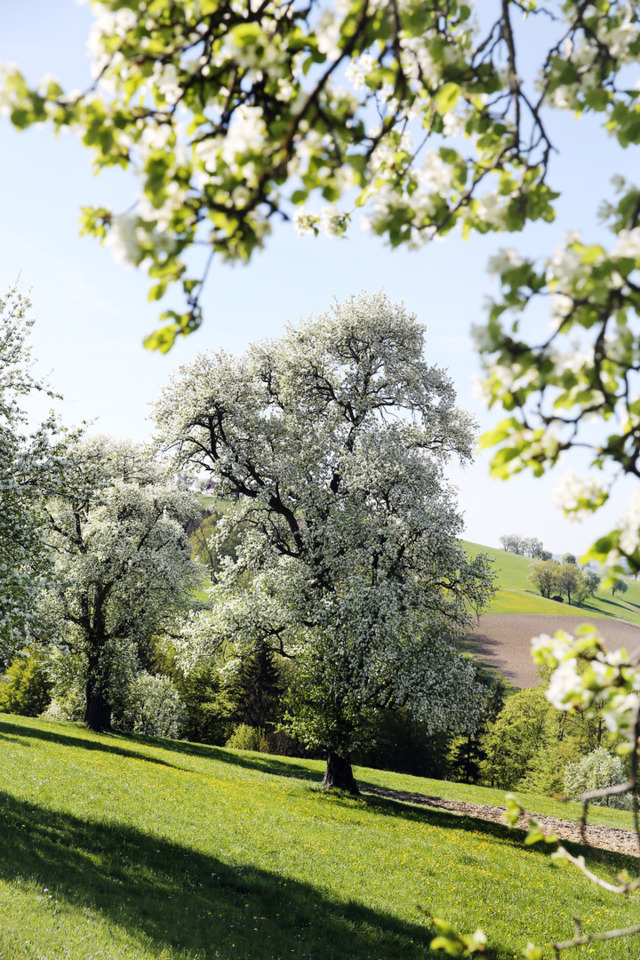 Mostviertel - European Destinations of Excellence - European Best Destinations - Copyright  weinfranz