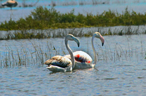 Nin - European Destinations of Excellence - European Best Destinations - Copyright Marin Stulic