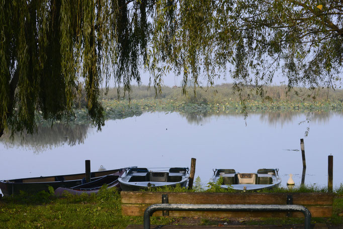 Parco del Mincio - European Destinations of Excellence - European Best Destinations - Copyright Parco del Mincio