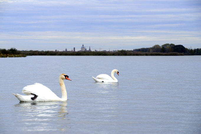 Parco del Mincio - European Destinations of Excellence - European Best Destinations - Copyright Parco del Mincio