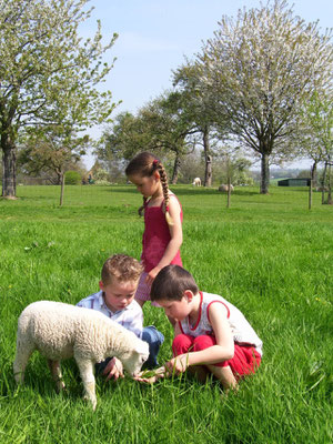 Park Gravenrode - EDEN - European Best Destinations