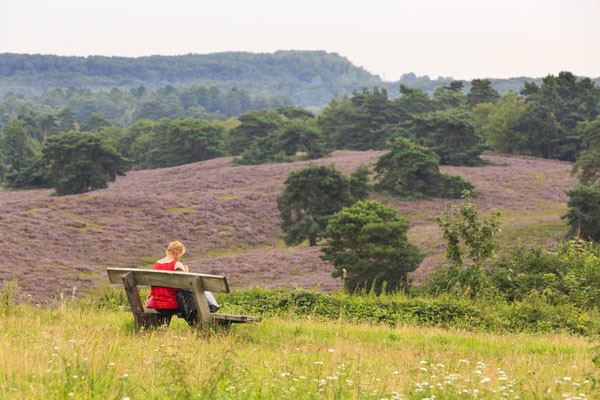 Park Gravenrode - EDEN - European Best Destinations