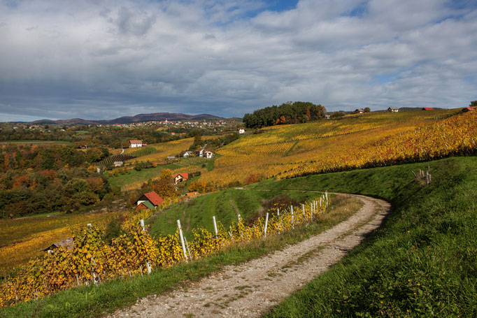 River Kolpa - European Best Destinations